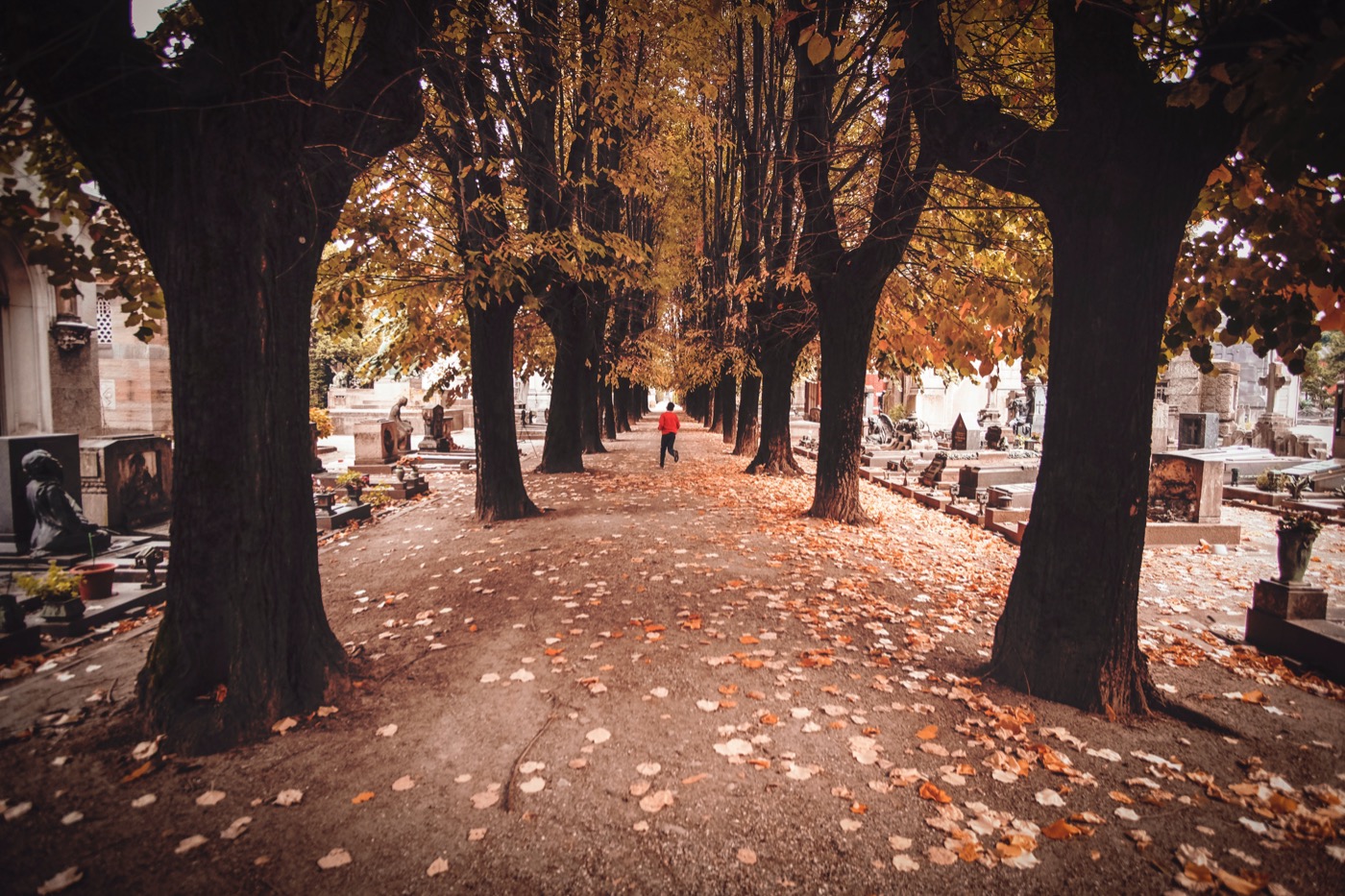 Cimetière La tournée des cimetières